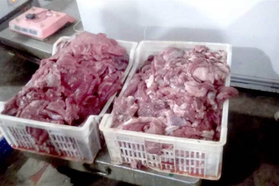 مباحث التموين بالقليوبية