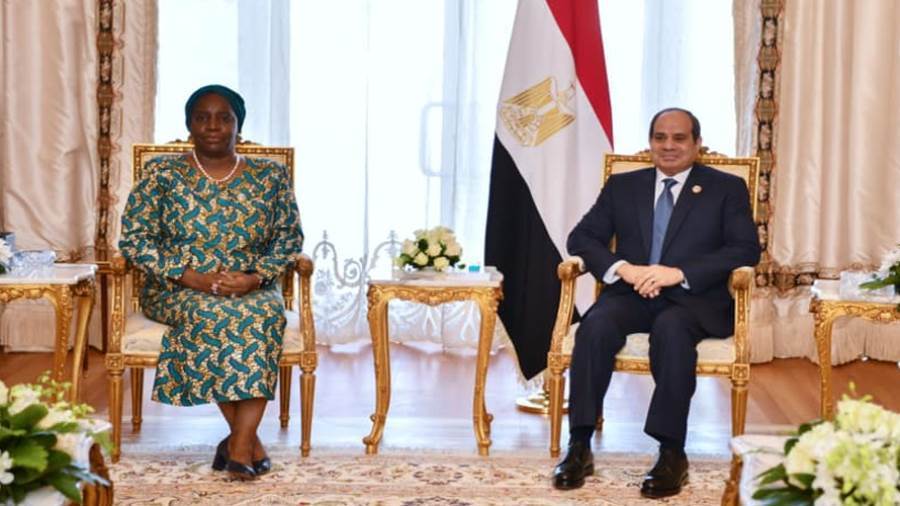 الرئيس السيسي خلال لقاء شيليشي