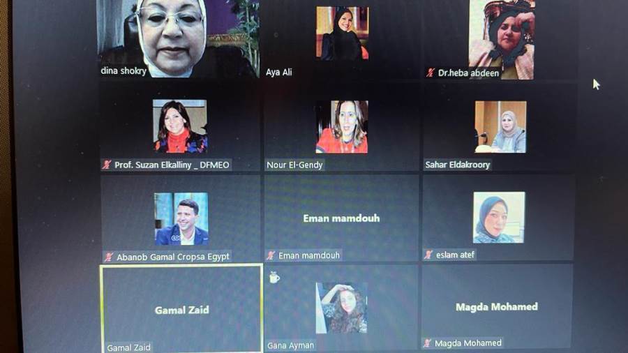 جانب من الندوة عبر زووم