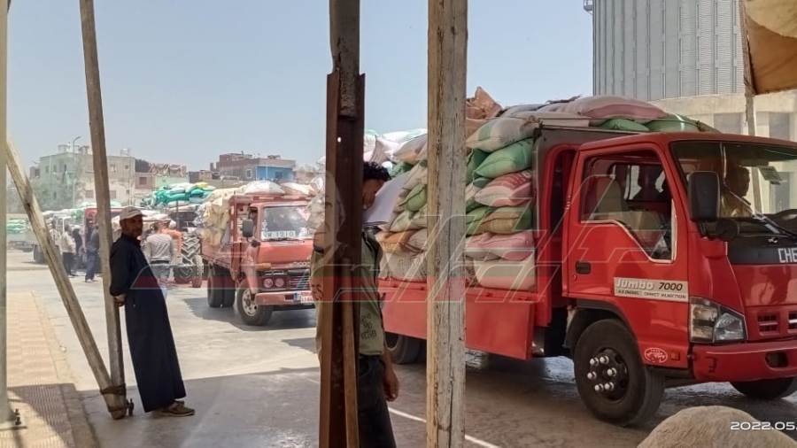 توريد القمح