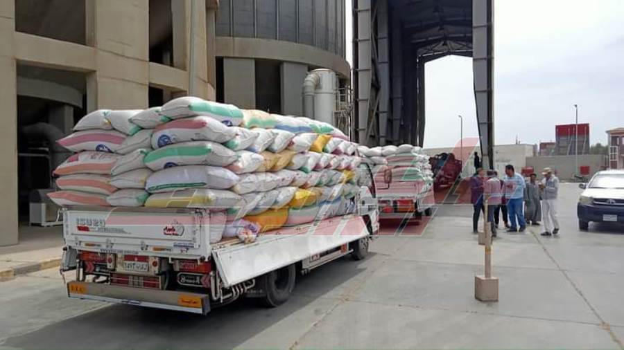 توريد القمح