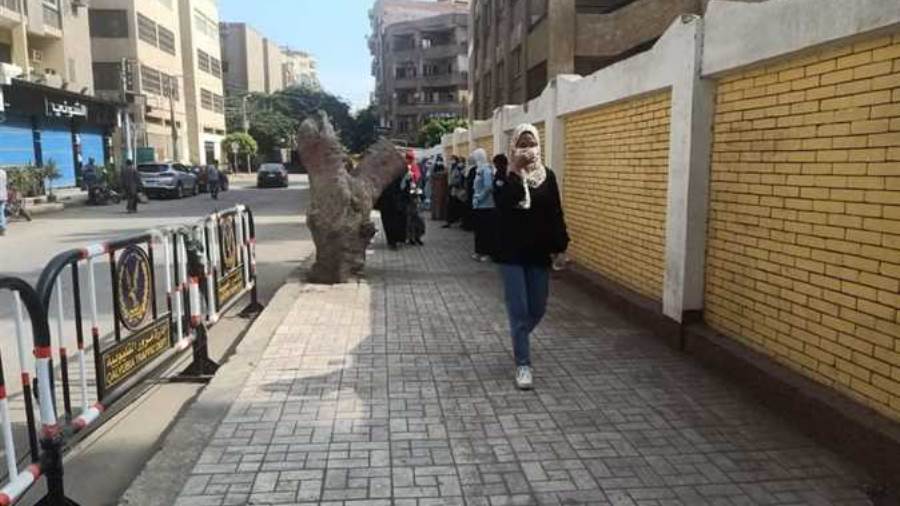 ارشيفية