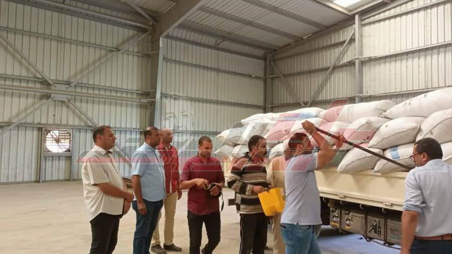 توريد الأرز