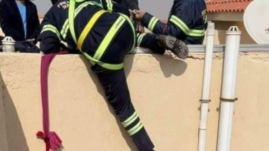 قوات الحماية المدنية بالإسكندرية من إنقاذ قطةمحتجزة أعلى جهاز تكييف