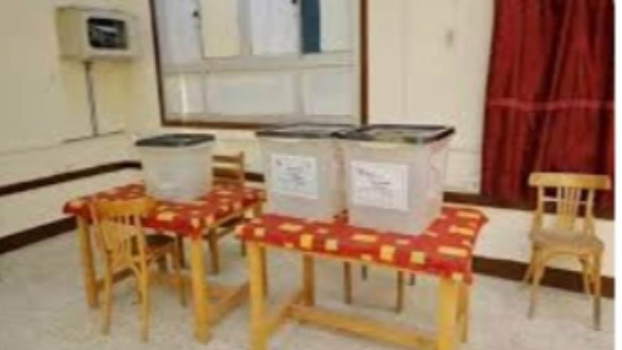 الوادي الجديد تستعد للانتخابات الرئاسية