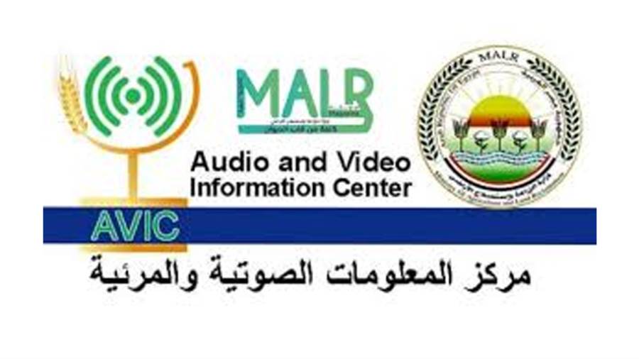 مركز المعلومات الصوتية والمرئية