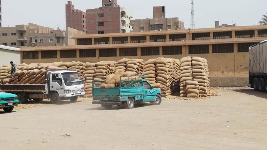 توريد القمح