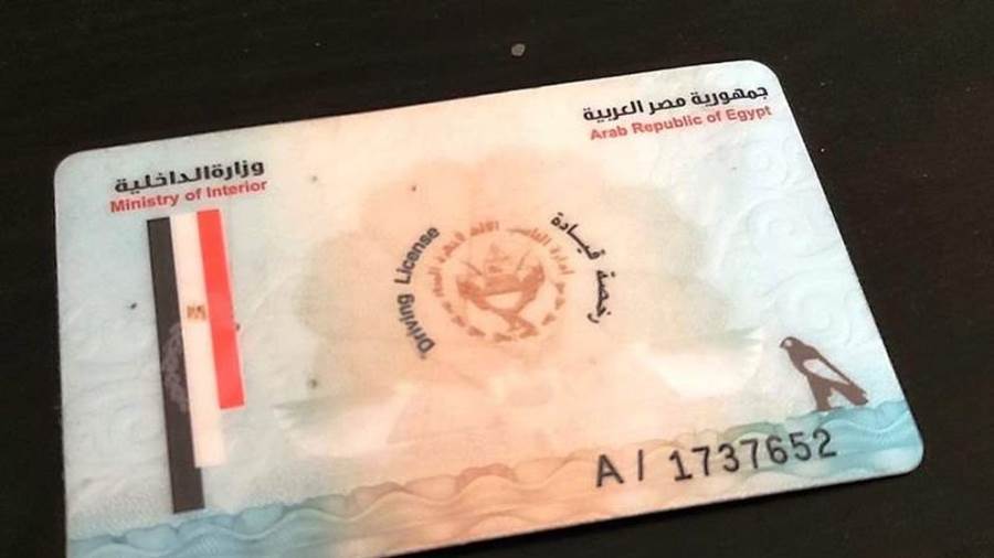 صورة أرشيفية روزا أوتو