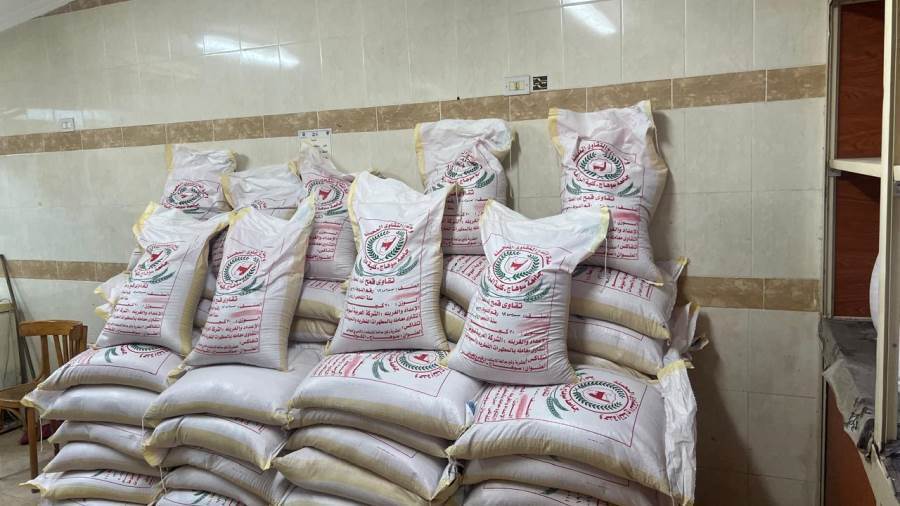 طرح تقاوي قمح عالية الجودة للبيع بمنافذ الكلية