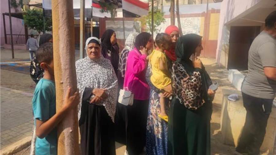 لجان انتخابات الشيوخ ببنى سويف