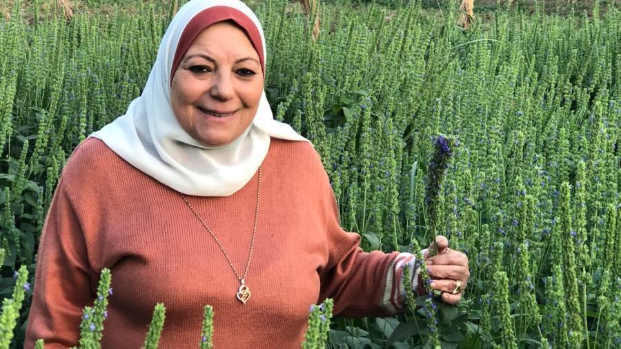 د. كلارا عزام الأستاذ في مركز البحوث الزراعية