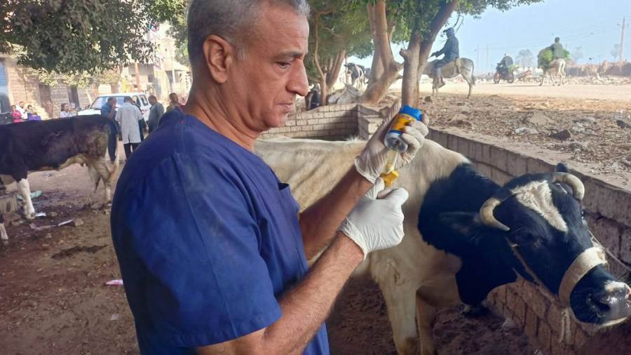 طبيب تناسليات خلال حلة الفحص والكشف