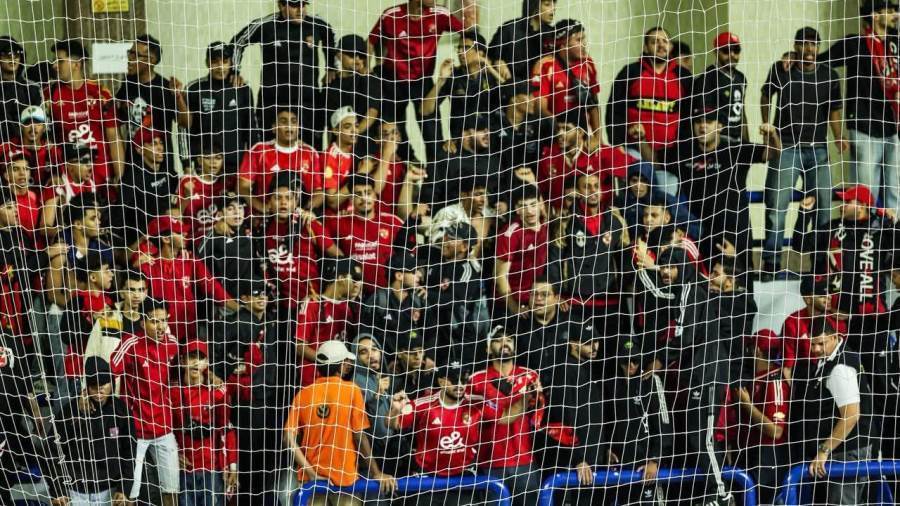 جمهور الأهلى