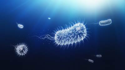 تعرف على الفيروسات الأكثر فتكا على وجه الأرض!