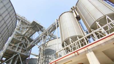 محافظ البحيرة: شون وصوامع الغلال استقبلت 209276 طن قمح