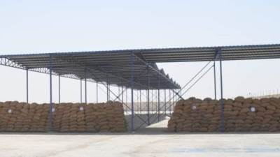 توريد 166 ألف طن قمح للصوامع بالمنيا