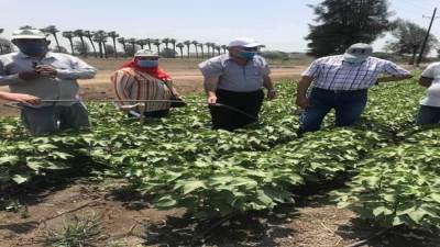 الري تعلن الانتهاء من 94٪ من مشروع التحول للري الحديث