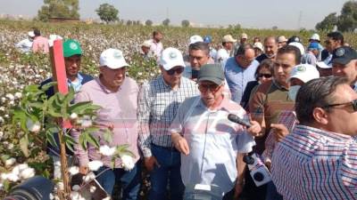 محافظ كفر الشيخ يشيد بمركز البحوث الزراعية في استنباط أصناف جديدة