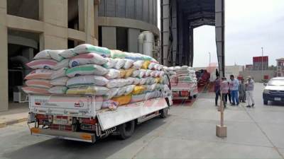 توريد 21023 طنًا و650 كيلو قمح بكفر الشيخ