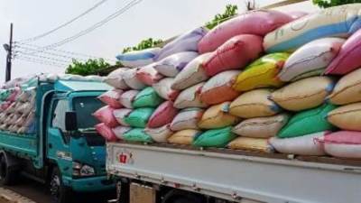 حصاد 280 ألف فدان وتوريد 260 ألف طن قمح لصوامع وشون الشرقية