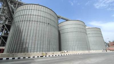 شون وصوامع البحيرة تستقبل ٩٧١٩٣ طن قمح منذ بدء موسم الحصاد