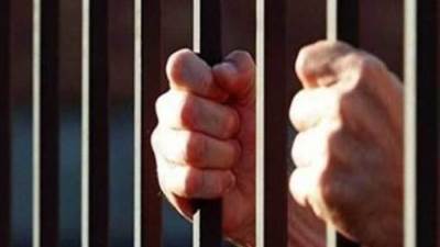 السجن المشدد 7 سنوات للمتهم بقتل "هايدي" فتاة كفر شكر وإلقاء جثتها بالطريق الحر