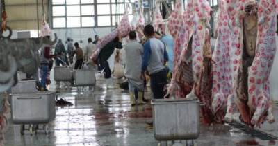 محافظ الجيزة: ذبح 2048 أضحية للمواطنين بالمجازر الحكومية خلال أول يومين للعيد