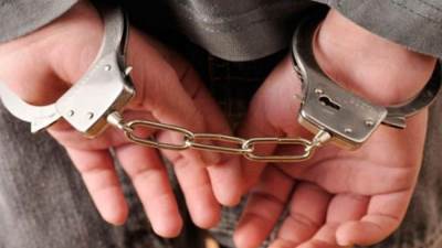 السجن المشدد 10 سنوات لتاجر مخدرات ضبط بحوزته 30 طربة حشيش بأسيوط 