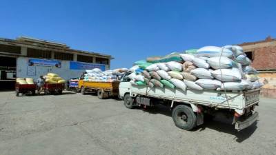 حصاد الخير.. توريد 5301 طن أرز لشون ومخازن البحيرة