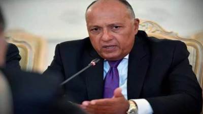 "شكرى": لا توجد معالجة لتغير المناخ دون إستعادة العدالة المالية لنظامنا الدولي