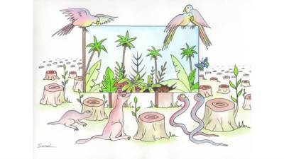 #الريشة_في_مواجهة_التغيرات_المناخية "634" "syria – "Taher Saoud