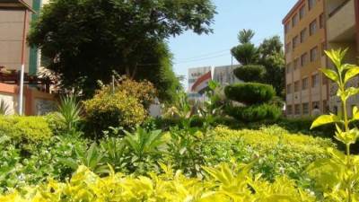 ما هي شهادة "ترشيد" للمجتمعات الريفية الخضراء وكيفية الحصول عليها؟...إليك التفاصيل