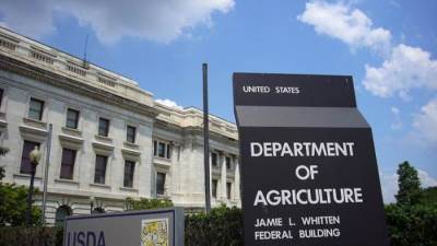 الولايات المتحدة تتوقع ارتفاع إنتاج السكر العالمي إلى 186.6 مليون طن الموسم 2024 / 2025