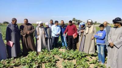 "البحوث الزراعية" يستعرض حصاد أنشطة مبادرة المراكز الإرشادية الزراعية خلال شهر ديسمبر 2024