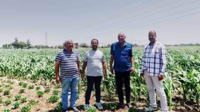 وكيل زراعة أسيوط يتابع زراعات المحاصيل الصيفية بمركز أبنوب