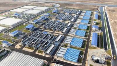 أرض الفيروز.. قلب التنمية