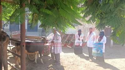 كفر الشيخ تطلق الحملة القومية للتحصين ضد فيروس الحمى القلاعية 