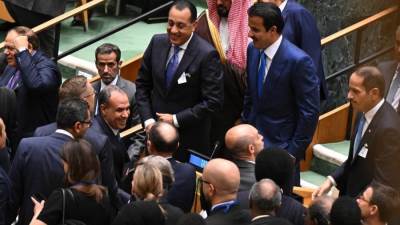 مشاهد من فرحة الوفد المصري بإعلان الرئيس الفرنسي الاعتراف بالدولة الفلسطينية 