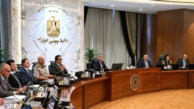 وزير الموارد المائية والري يشرح تداعيات فيضان "النيل" واستعدادات المواجهة