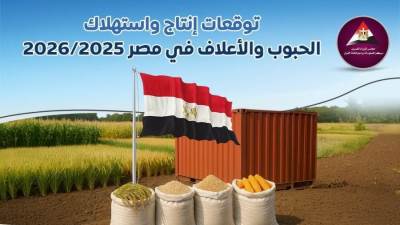 بالفيديوجراف.. “توقعات انتاج واستهلاك الجبوب والأعلاف في مصر 2025/2026