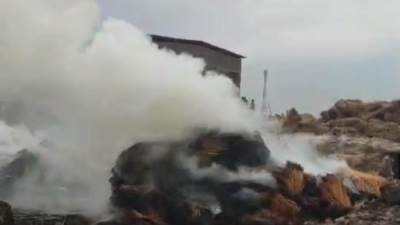 بالصور.. إخماد حريق شونة كتان فى "كفر ششتا" بالغربية