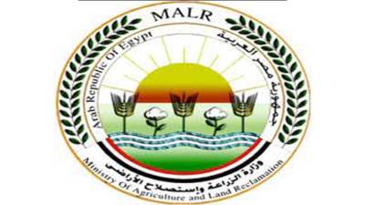 "الزراعة" تنفي صحة فيديو حالات نفوق الماشية المتداول على وسائل التواصل الاجتماعي