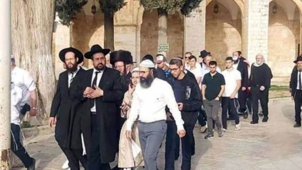 مستوطنون يقتحمون "الأقصى" ودعوات لاقتحام واسع غدا