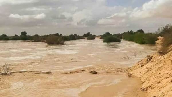 وزير الري يتابع موقف التعامل مع الأمطار بالبحر الأحمر وشمال سيناء مؤخرًا