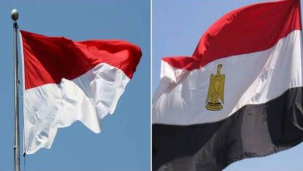 مصر وإندونيسيا تعززان سبل التعاون الاستراتيجي في التحول الرقمي