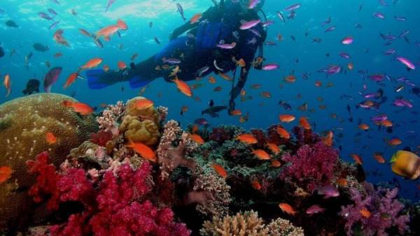 السياحة: غلق 126 كيانا غير مرخص بجنوب سيناء